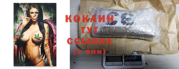 шишки Армянск
