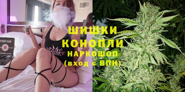 шишки Армянск