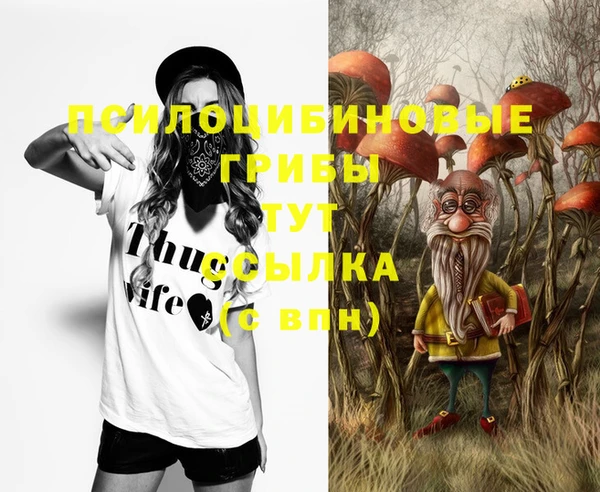 шишки Армянск